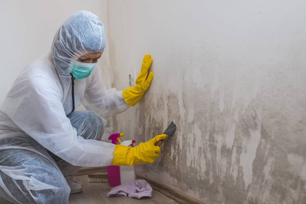 Mold Removing