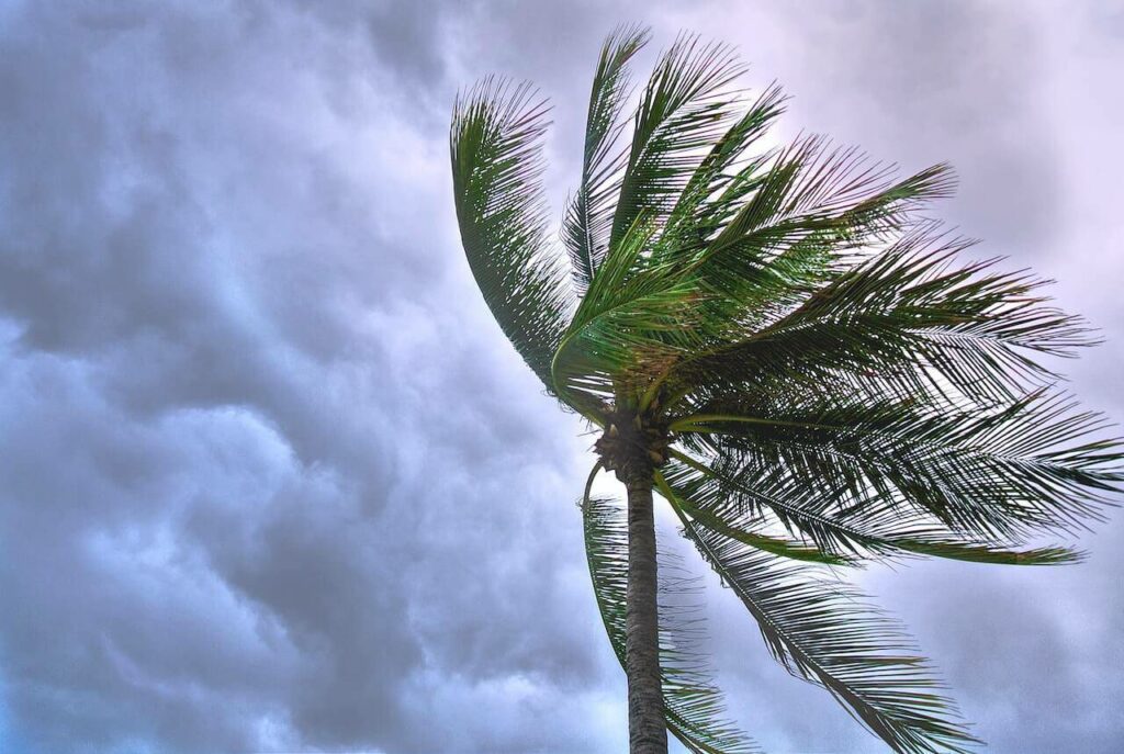 Preparing your home for Spring Storms