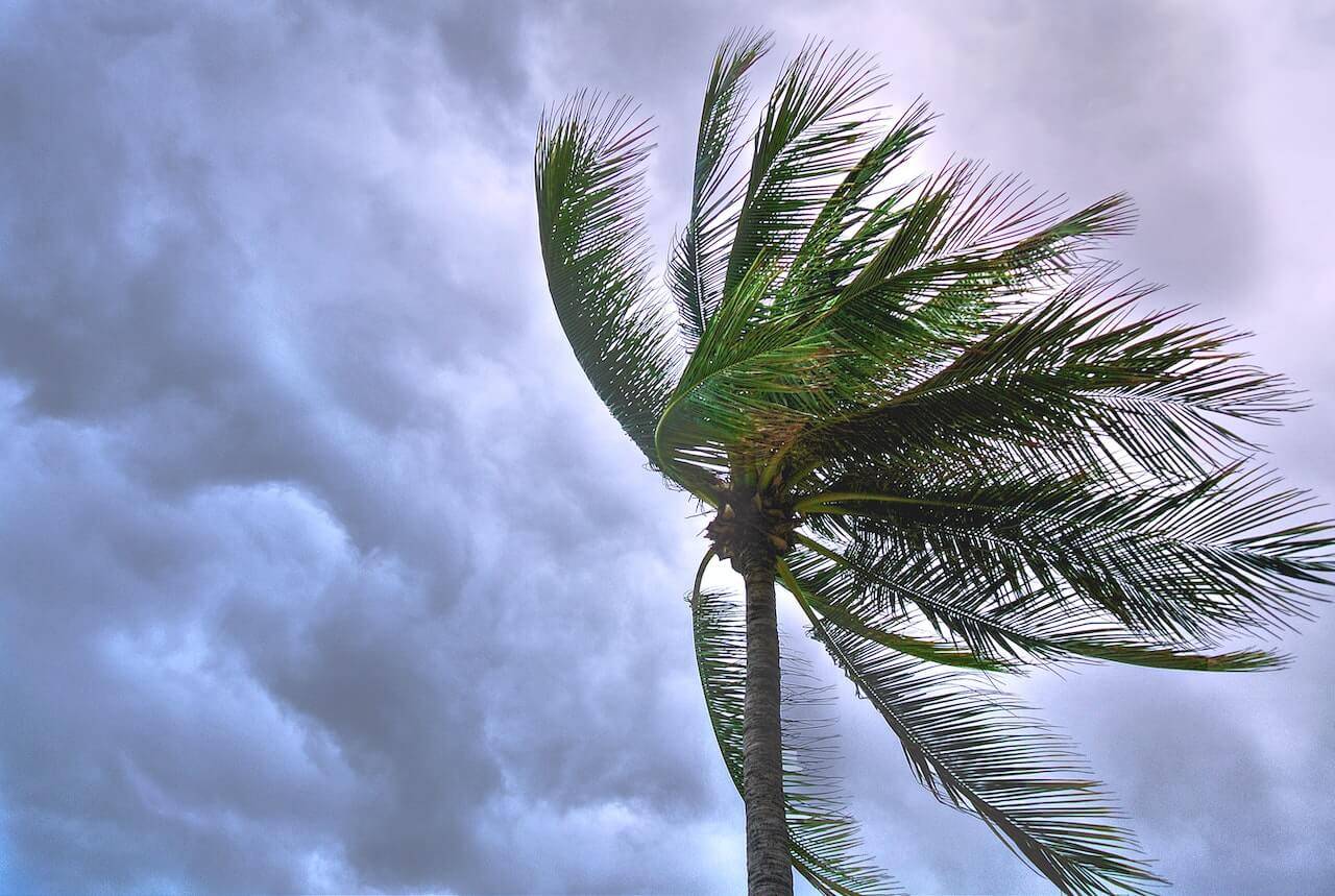 Preparing your home for Spring Storms