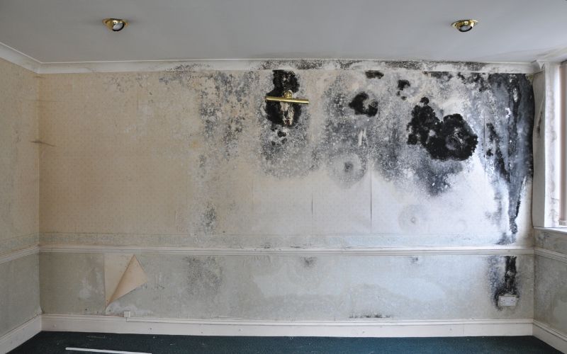 Potential Causes of Mold
