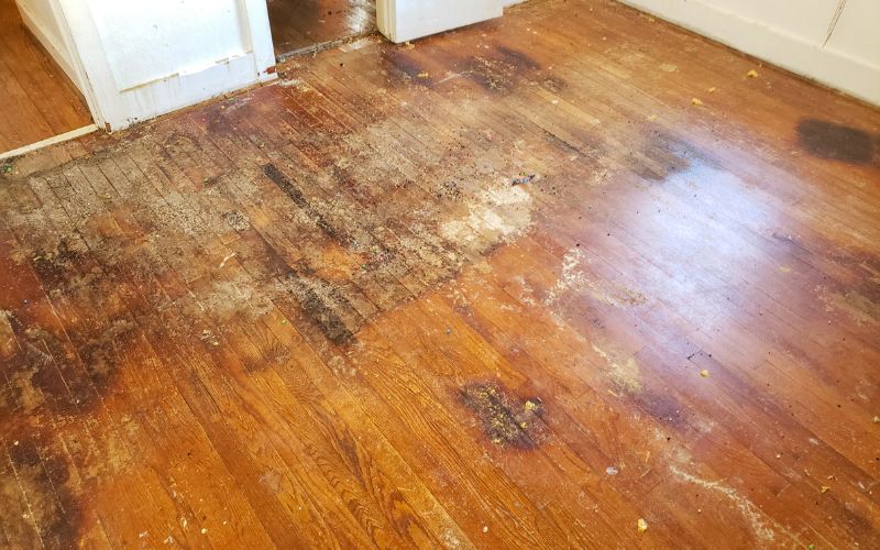 how to repair hardwood floors from water damage